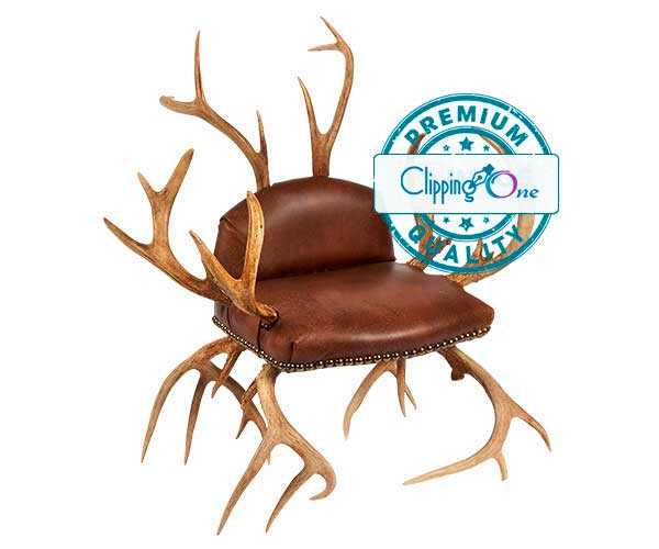 Antler chair upholstered in leather for visual of professional clipping path service, edited