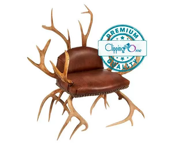 Antler chair upholstered in leather for visual of professional clipping path service, edited