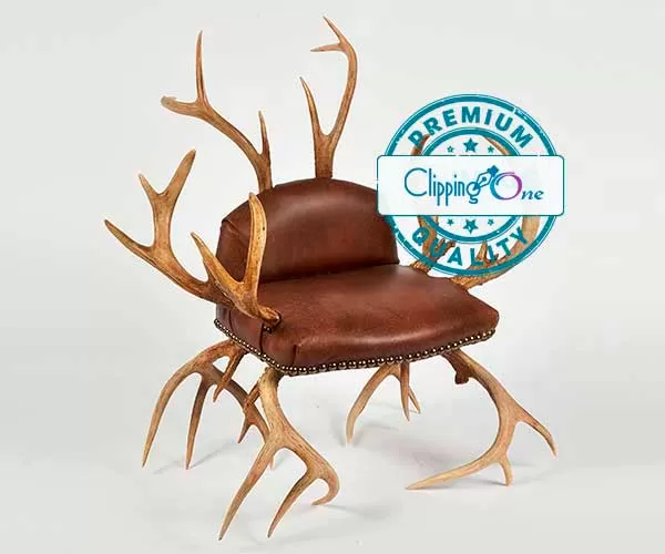 Antler chair upholstered in leather for visual professional clipping path services