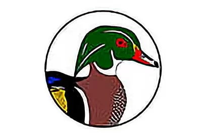Duck illustration visual after raster to vector conversion service applied