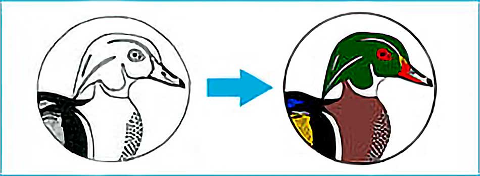 Duck illustration visual for after and before vector conversion