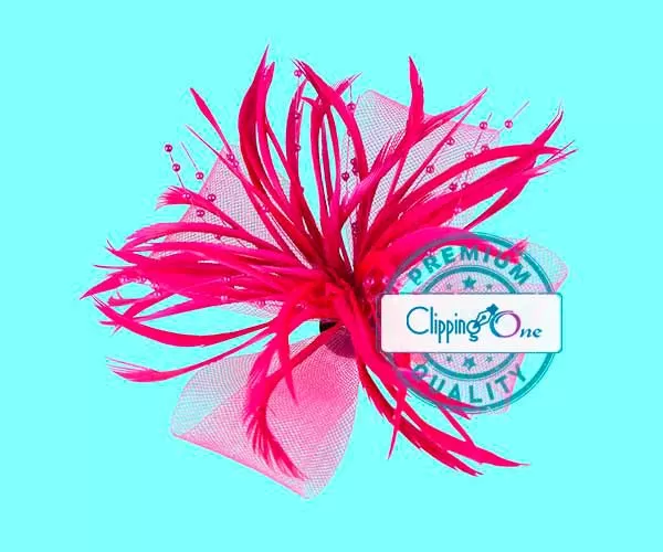 Feather flowers female hair clip visual after advanced image masking services editing