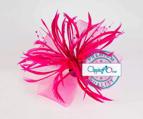 Feather flowers female hair clip visual before image masking background removal services