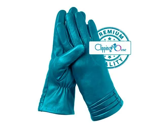 Leather hand gloves visual with color variant edited