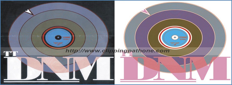 Raster to vector conversion services for logo