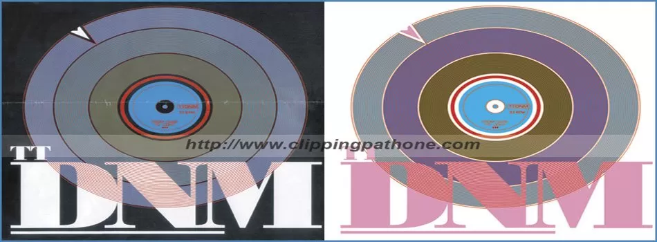 Raster to vector conversion services for logo