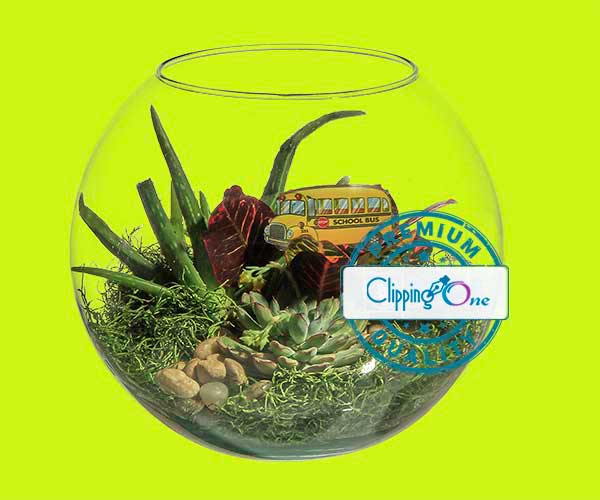 Terrarium arrangement in glass bowl visual after photoshop image masking applied, edited