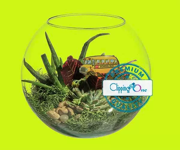 Terrarium arrangement in glass bowl visual after photoshop image masking applied, edited