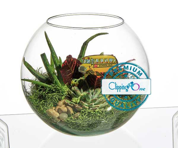 Terrarium arrangement in glass bowl visual before photoshop image masking background removal