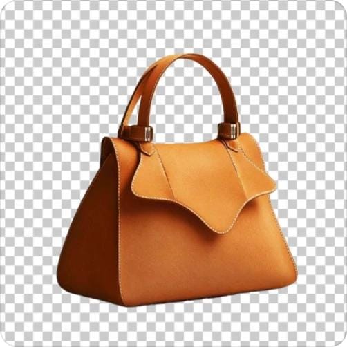 Bag on a transparent background